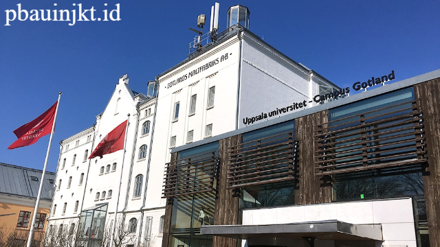 Gotland University: Pusat Pendidikan dan Inovasi Unggul